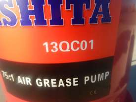 Ashita 13QC01 Air Grease Pump - picture1' - Click to enlarge