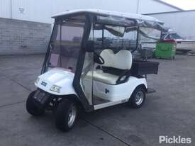 2013 EMC EG2028H Golf Cart - picture0' - Click to enlarge