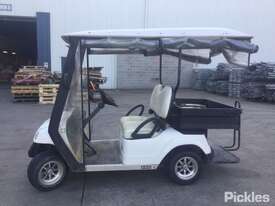 2013 EMC EG2028H Golf Cart - picture0' - Click to enlarge