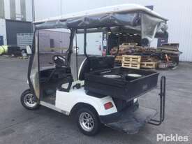 2013 EMC EG2028H Golf Cart - picture1' - Click to enlarge