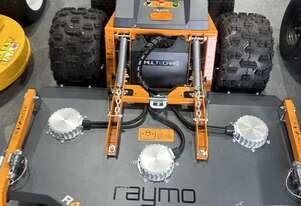 Valley Outdoors Group - Raymo R48 Electric Mower
