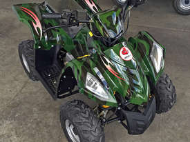 Grudge Kids 70cc ATV - picture0' - Click to enlarge