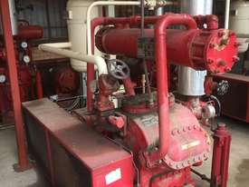 4 x compound Vilter ammonia compressors - picture0' - Click to enlarge