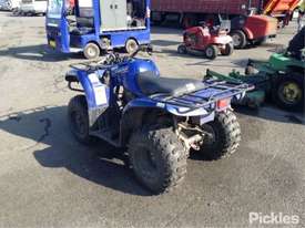 Yamaha Big Bear 250 - picture2' - Click to enlarge