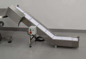 Autopac Systems Inclined Stainless Steel Packing Conveyor