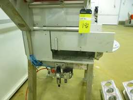 2013 GTR Proseal Food Tub Automatic Sealer - Single Phase (L192) - picture2' - Click to enlarge