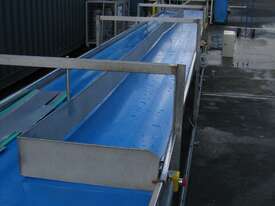 Double Layer Fruit Sorting Conveyor - 9.6m long - picture1' - Click to enlarge
