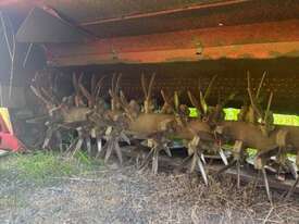 TAARUP TWIN MOWER CONDITIONERS - picture2' - Click to enlarge