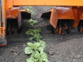 Struik ZF Interow Cultivator - picture0' - Click to enlarge