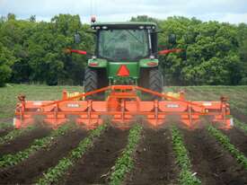 Struik ZF Interow Cultivator - picture2' - Click to enlarge
