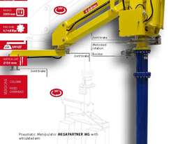 DALMEC MEGAPARTNER MG (Pneumatic Lifter Industrial Manipulator with articulated arms) - picture0' - Click to enlarge