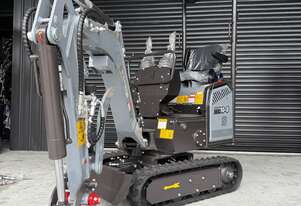 Raptor RE10-8 1T Mini Excavator, Swing Boom with GP Bucket