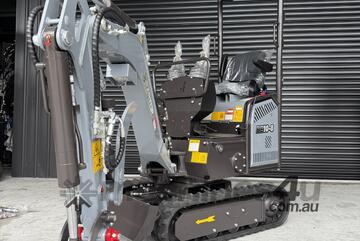Raptor RE10-8 1T Mini Excavator, Swing Boom with GP Bucket