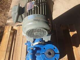 4 Hp 3 Kw New Warman Slurry Pump 2011 - picture0' - Click to enlarge