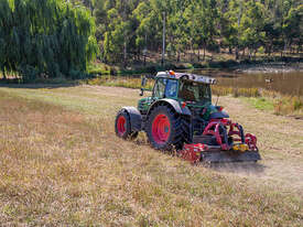 FENDT 200 VARIO - picture2' - Click to enlarge