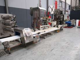 Automatic Bag Weighing, Filling & Sealing Line - picture0' - Click to enlarge