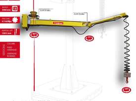 DALMEC POSIFIL – PF (Pneumatic Lifter Industrial Manipulator with double cable) - picture0' - Click to enlarge