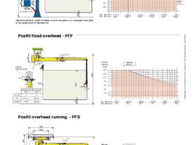 DALMEC POSIFIL – PF (Pneumatic Lifter Industrial Manipulator with double cable) - picture1' - Click to enlarge