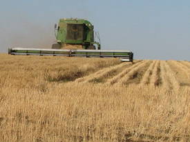 Contract Grain Harvesting Business - picture1' - Click to enlarge