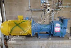 Robusch liquid ring vacuum pump