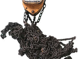 Harrington Chain Hoist 0.5 Tonne x 6 metre chain  - picture0' - Click to enlarge