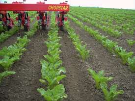 Einbock Chopstar - mechanical (organic) weeding solutions - picture2' - Click to enlarge