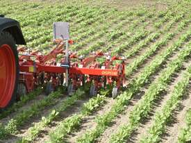 Einbock Chopstar - mechanical (organic) weeding solutions - picture1' - Click to enlarge