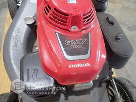 HONDA GXV160 PETROL LAWN MOWER - picture2' - Click to enlarge