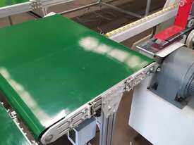 New AARON Edgebander Return Conveyor (Single Phase) - picture0' - Click to enlarge