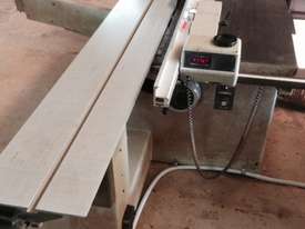 SCM Panel Saw with dust extraction  - picture1' - Click to enlarge