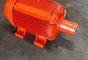 Weg Electric Motor