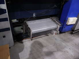 Product Discharge Conveyor - picture0' - Click to enlarge