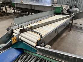 Fabricated Conveyor Line - picture0' - Click to enlarge