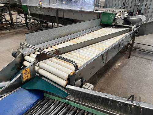 Fabricated Conveyor Line