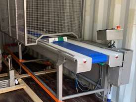 Sheeting Horn & Indexing Conveyor  - picture2' - Click to enlarge