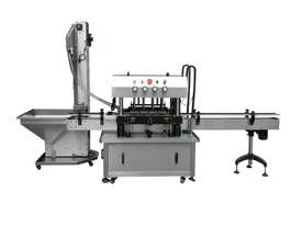 Automatic In-Line Capping Machine - picture0' - Click to enlarge