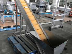 Elevating conveyor - picture0' - Click to enlarge