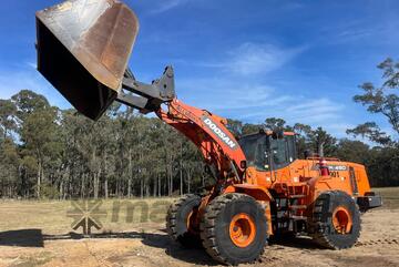 Doosan DL450 Loader/Tool Carrier Loader