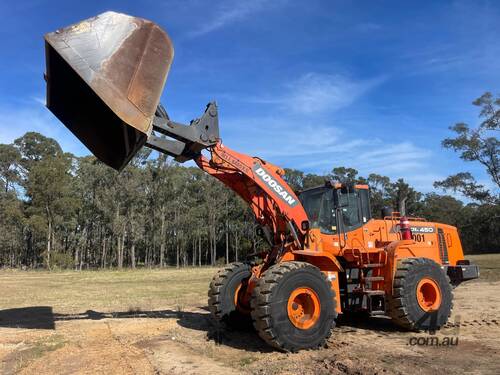 Doosan DL450 Loader/Tool Carrier Loader