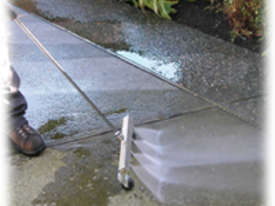 Water broom - picture1' - Click to enlarge