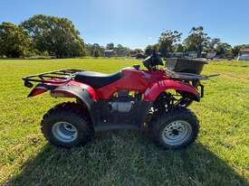 HONDA TRX 250 FOURTRAX 4X4 QUAD 2013 MODEL - picture1' - Click to enlarge