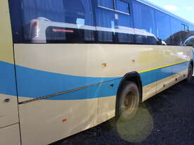 Daewoo 2008 BH117 Coach - picture2' - Click to enlarge