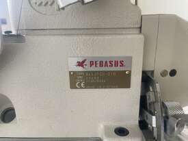 Pegasus Cover Stich Machine - picture0' - Click to enlarge