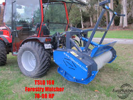 TSLQ 160 Forestry Mulcher (ITALIAN) - picture0' - Click to enlarge