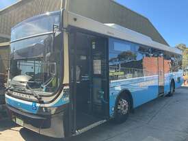 Mercedes Benz Bus - picture0' - Click to enlarge