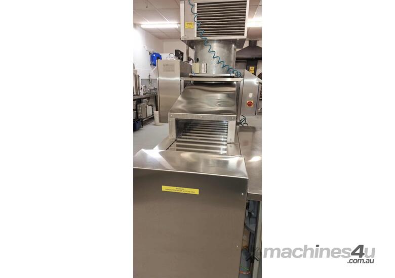 CHAIN CONVEYOR - WITH DEPOSITING HOPPER