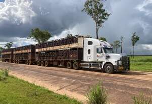 2015 freightliner coronado 122 SD prime mover