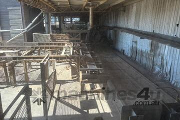 Complete Hardwood Sawmill