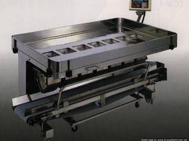 Semiauto Multihead Weigher [14] - picture0' - Click to enlarge
