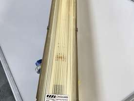 Fluorescent Light Lifeguard Temporary Lighting - picture0' - Click to enlarge
